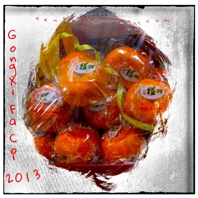 20130209-123916 PM.jpg